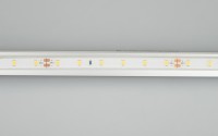  - Лента герметичная RTW-PFS-A60-11mm 24V Blue (4.8 W/m, IP68, 2835, 5m) (Arlight, 4.8 Вт/м, IP68)