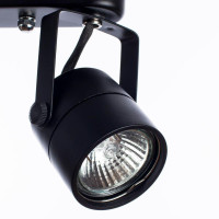  - Спот Arte Lamp Lente A1310PL-2BK