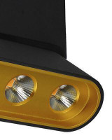  - Светодиодный спот Lumien Hall Фергус 8005/3CL-BK-GD
