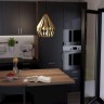 Подвесной светильник Eglo Carlton 43814 - Подвесной светильник Eglo Carlton 43814