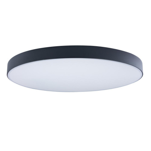 Потолочный светодиодный светильник Loft IT Axel 10002/48 black 