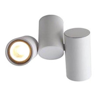  - Спот Arte Lamp Gavroche A1511PL-2WH