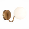 Бра Evoluce Calabria SLE220601-01 - Бра Evoluce Calabria SLE220601-01