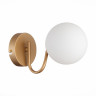 Бра Evoluce Calabria SLE220601-01 - Бра Evoluce Calabria SLE220601-01