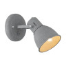 Спот Arte Lamp A1677AP-1GY - Спот Arte Lamp A1677AP-1GY