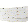 Лента S2-2500 24V White 5500K 59mm (2835, 420 LED/m, LUX) (Arlight, 30 Вт/м, IP20) - Лента S2-2500 24V White 5500K 59mm (2835, 420 LED/m, LUX) (Arlight, 30 Вт/м, IP20)