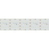 Лента S2-2500 24V White 5500K 59mm (2835, 420 LED/m, LUX) (Arlight, 30 Вт/м, IP20) - Лента S2-2500 24V White 5500K 59mm (2835, 420 LED/m, LUX) (Arlight, 30 Вт/м, IP20)