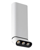  - Светодиодный спот Lumien Hall Фергус 8005/3CL-WT-BK
