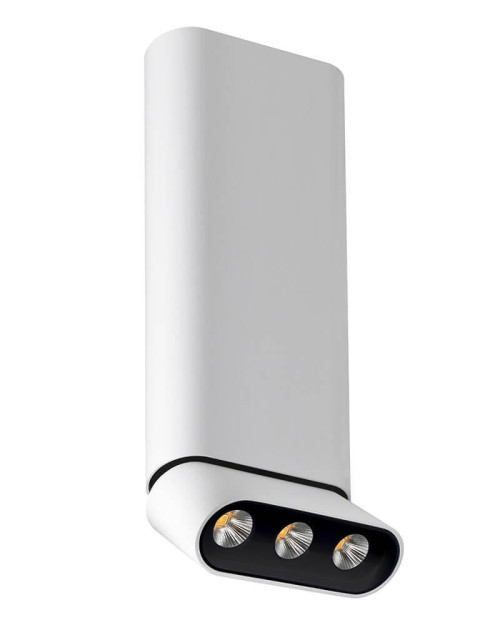 Светодиодный спот Lumien Hall Фергус 8005/3CL-WT-BK 