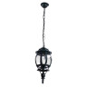 Уличный подвесной светильник Arte Lamp Atlanta A1045SO-1BG - Уличный подвесной светильник Arte Lamp Atlanta A1045SO-1BG