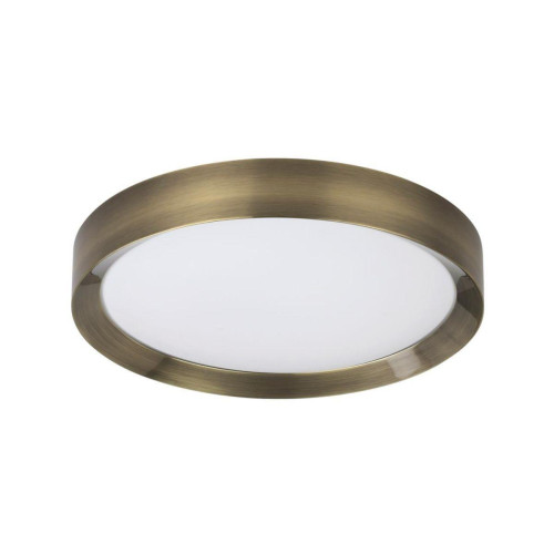 Потолочный светодиодный светильник Odeon Light Lunor 4948/45CL 