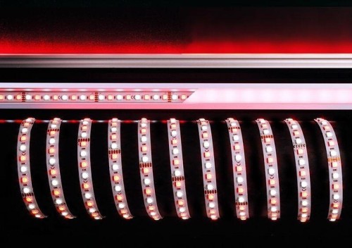 Лента светодиодная Deko-Light 5050-96-24V-RGB+6200K-5m 840217 