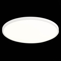  - Настенно-потолочный светодиодный светильник ST Luce ST601.542.48