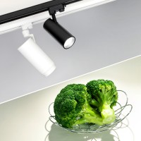  - Светильник LGD-ZEUS-4TR-R88-20W Day SP5000-Veg (WH, 20-60 deg, 230V) (Arlight, IP20 Металл, 3 года)