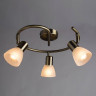 Спот Arte Lamp Parry A5062PL-3AB - Спот Arte Lamp Parry A5062PL-3AB