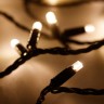 Светодиодная гирлянда ARD-STRING-PRO-10000-BLACK-100LED-STD WARM (230V, 7W) (Ardecoled, IP65) - Светодиодная гирлянда ARD-STRING-PRO-10000-BLACK-100LED-STD WARM (230V, 7W) (Ardecoled, IP65)