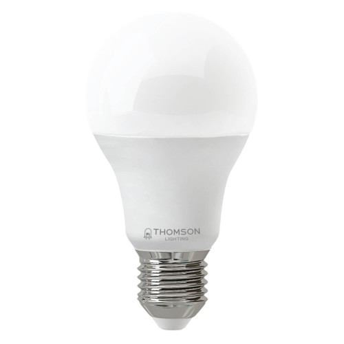 Лампа светодиодная Thomson E27 19W 6500K груша матовая TH-B2349 