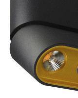  - Светодиодный спот Lumien Hall Фергус 8005/3CM-BK-GD