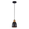 Подвесной светильник Arte Lamp Eurica A4248SP-1BK - Подвесной светильник Arte Lamp Eurica A4248SP-1BK