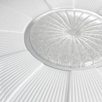  - Потолочный светодиодный светильник Lussole Lgo Moonlight LSP-8312