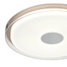 Потолочный светильник Vele Luce Flash VL7214L01 - Потолочный светильник Vele Luce Flash VL7214L01