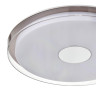 Потолочный светильник Vele Luce Flash VL7214L01 - Потолочный светильник Vele Luce Flash VL7214L01