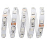 Светодиодная лента Apeyron 15W/m 60LED/m 5050SMD разноцветная 5M 00-337 - Светодиодная лента Apeyron 15W/m 60LED/m 5050SMD разноцветная 5M 00-337