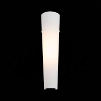  - Настенный светодиодный светильник ST Luce Snello SL508.501.01