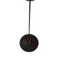  - Подвесной светильник Loft IT Loft1102