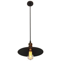 - Подвесной светильник Loft IT Loft1102