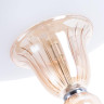 Потолочный светильник Divinare Goccia 4021/02 PL-2 - Потолочный светильник Divinare Goccia 4021/02 PL-2