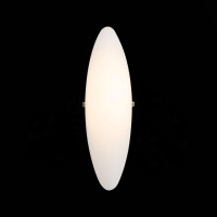  - Настенный светодиодный светильник ST Luce Snello SL508.511.01