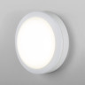 Уличный настенный светодиодный светильник Elektrostandard LTB51 Led белый 4690389150685 - Уличный настенный светодиодный светильник Elektrostandard LTB51 Led белый 4690389150685