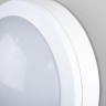 Уличный настенный светодиодный светильник Elektrostandard LTB51 Led белый 4690389150685 - Уличный настенный светодиодный светильник Elektrostandard LTB51 Led белый 4690389150685