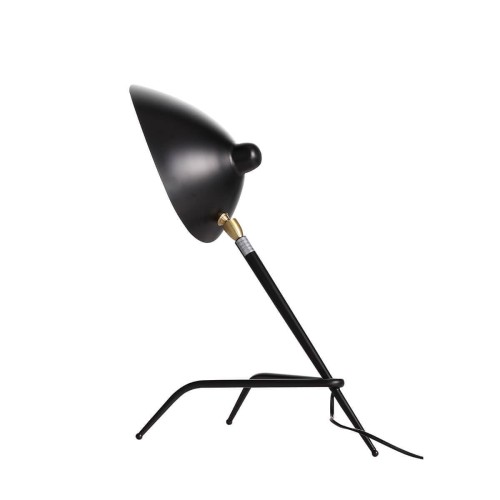 Настольная лампа ST Luce Spruzzo SL305.404.01 