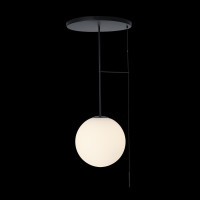  - Подвесной светильник Loft IT Signal 10029PM Black