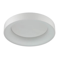  - Потолочный светодиодный светильник Odeon Light Sole 4066/40CL
