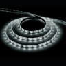 Светодиодная лента Feron 4,8W/m 60LED/m 2835SMD белый 5M LS603 41446 - Светодиодная лента Feron 4,8W/m 60LED/m 2835SMD белый 5M LS603 41446