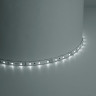 Светодиодная лента Feron 4,8W/m 60LED/m 2835SMD белый 5M LS603 41446 - Светодиодная лента Feron 4,8W/m 60LED/m 2835SMD белый 5M LS603 41446