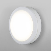  - Уличный настенный светодиодный светильник Elektrostandard LTB51 Led белый 4690389150722