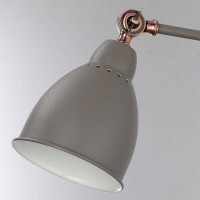  - Спот Arte Lamp A2055AP-1GY