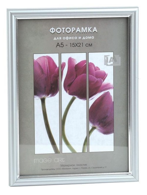 Фоторамка Interior Office 590/1 10*15 матовое серебро (50/1600) Б0030712 