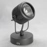 Спот Lussole Loft Haines GRLSP-8045 - Спот Lussole Loft Haines GRLSP-8045