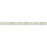 Лента герметичная RTW-PS-A160-10mm 24V White6000 (12 W/m, IP67, 2835, 50m) (Arlight, 12 Вт/м, IP67) - Лента герметичная RTW-PS-A160-10mm 24V White6000 (12 W/m, IP67, 2835, 50m) (Arlight, 12 Вт/м, IP67)