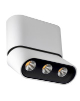  - Светодиодный спот Lumien Hall Фергус 8005/3CS-WT-BK