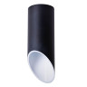 Потолочный светильник Arte Lamp Pilon A1615PL-1BK - Потолочный светильник Arte Lamp Pilon A1615PL-1BK