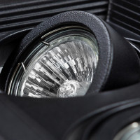  - Встраиваемый светильник Arte Lamp Canis A6661PL-2BK