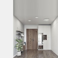  - Потолочный светильник Nowodvorski Organic 8304