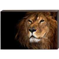  - Постер на подрамнике Toplight 60x90х4см TL-D4042
