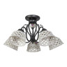 Потолочная люстра Abrasax Emilia MDK9365/5BBlack - Потолочная люстра Abrasax Emilia MDK9365/5BBlack